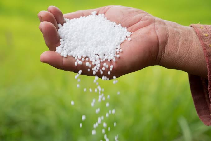 Fertilizantes Minerais