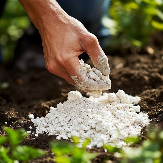 Gesso Agrícola